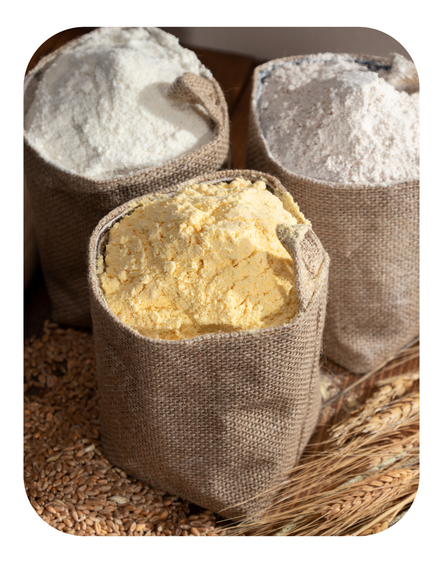 Farináceos
