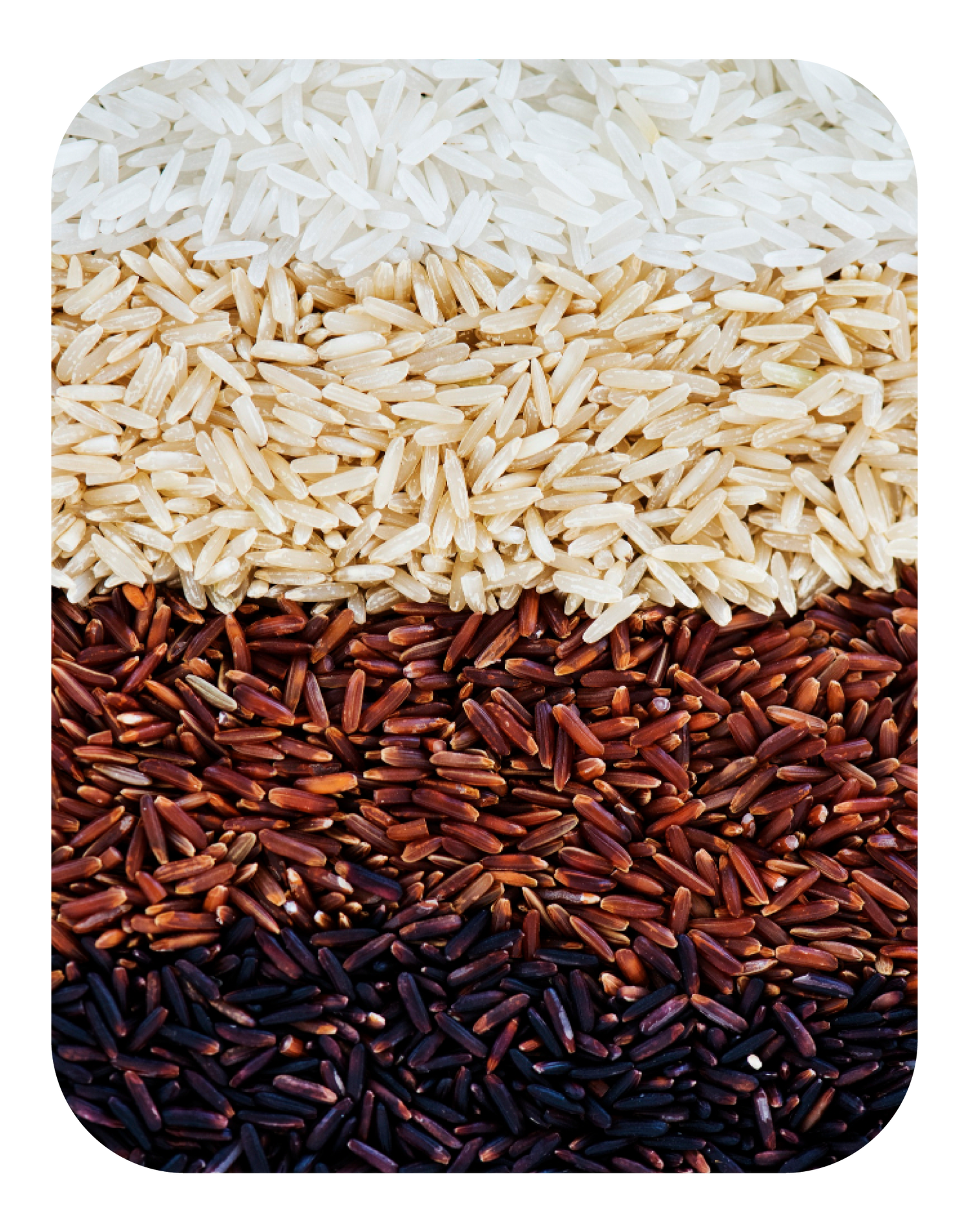 Arrozes